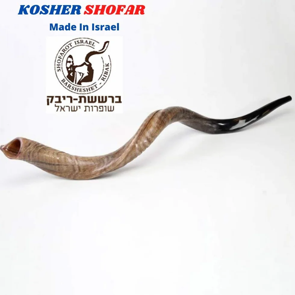 32 "86,4 cm Natürliche Authentische Kosher Yemenite Kudu Horn Schofar jüdische – Israel
