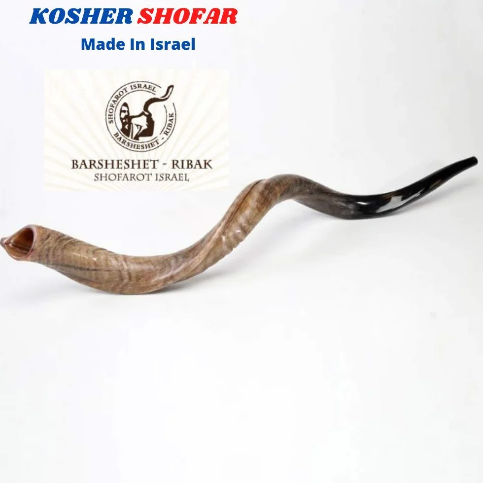 32 "86,4 cm Natürliche Authentische Kosher Yemenite Kudu Horn Schofar jüdische – Israel
