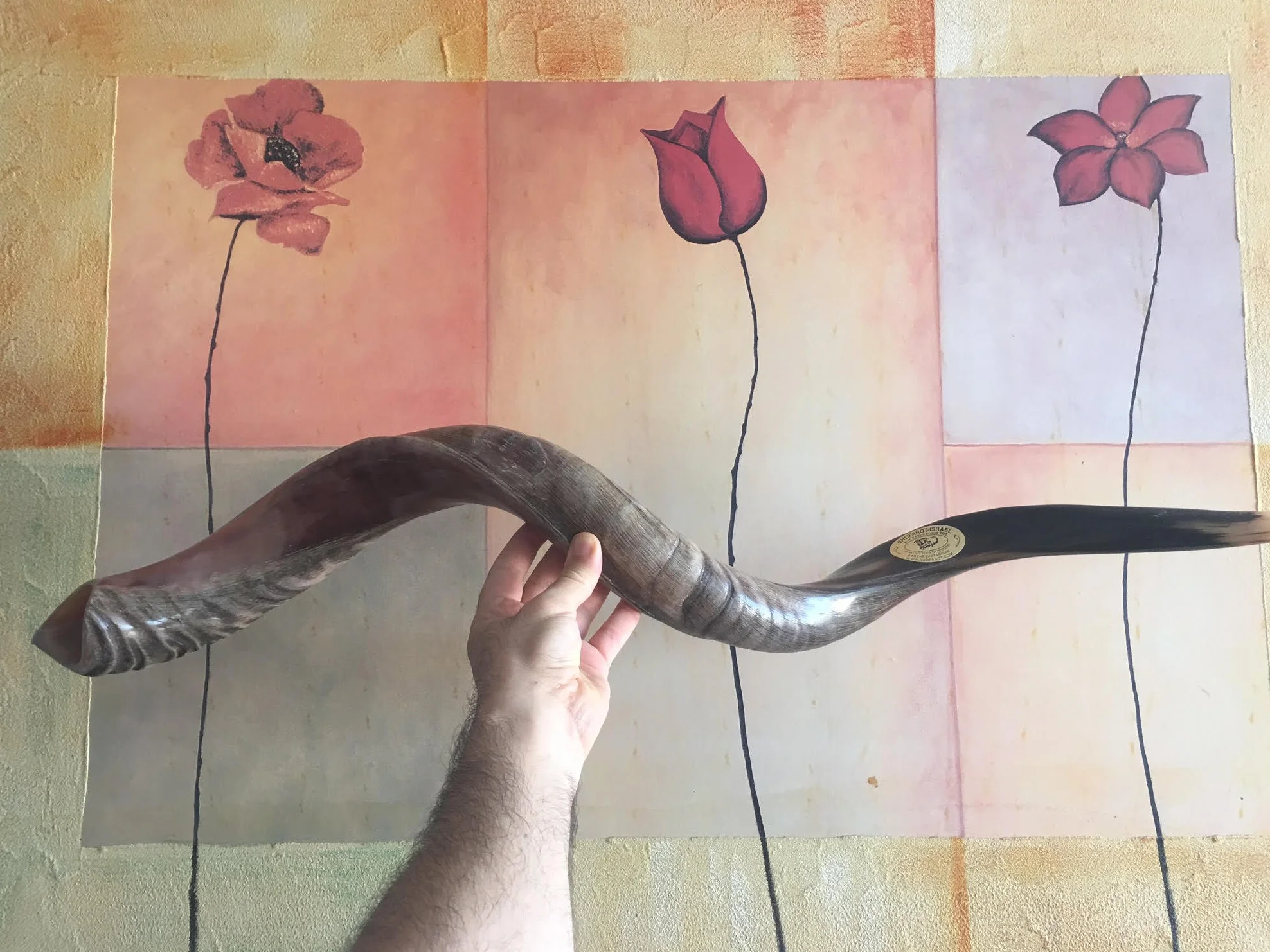 32 "86,4 cm Natürliche Authentische Kosher Yemenite Kudu Horn Schofar jüdische – Israel